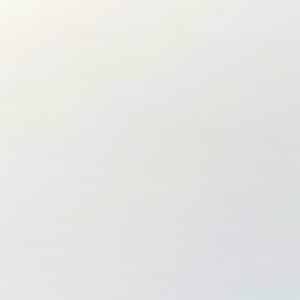 Tela BlackOut color Liso Blanco 50mts RW00162
