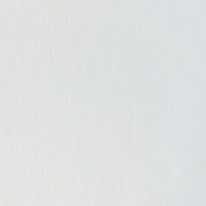 Tela BlackOut color Blanco Liso RW00123
